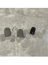 定額ミドル/¥8200