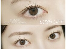 ザ サロン ステラ 五反田(THE SALON stella)/プランプラッシュリフト