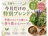 【10月季節ハーブ】サジャバルよもぎ蒸し30分＋フットバス＋アフターティー