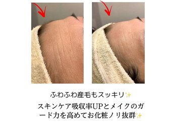 トリビュート(Tribute)/フェイシャルwax《Tribute》