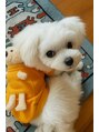 ラブネイルヒロシマ(Love Nail HIROSHIMA) 愛犬を愛でる日々です!猫ちゃんも大好きです!