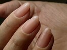 【美人】シンプルだから美しい