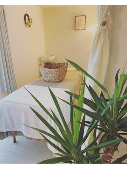 パール(Pearl)/グリーン