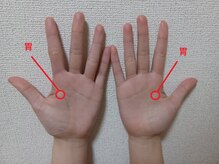 フェニーチェ(FENICE)/胃もたれ、胃のムカつきに！