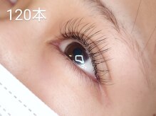 アポストロフィエス/フラットラッシュシングル120本