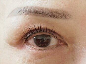 カルムトウキョウ 恵比寿本店(CALM TOKYO)/まつげパーマ/代官山/恵比寿