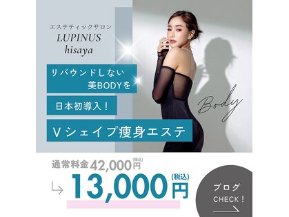 ルピナス ヒサヤ(LUPINUS hisaya)の写真