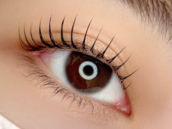 Luo Silque 立川 まつげパーマ/パリジェンヌ/マツエク/LED/韓国/パラジェル/長さだしの写真/お化粧の時間も短縮◎丁寧な施術でご希望のまつげデザインに仕上げ、あなたのキレイを引き出します♪