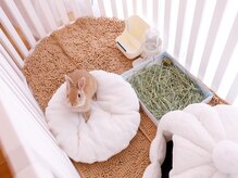 アエレ(AEREE retreat salon)/うさぎさんがいます♪