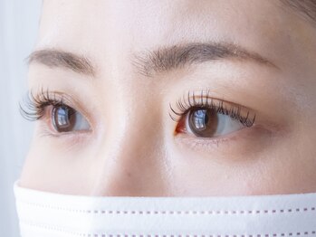 ラブレスルクス(LAVLESS LX)/フラットラッシュ120本