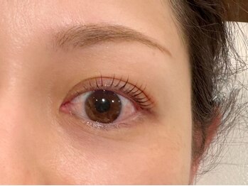 ビーワールド(B-WORLD)/ペッタカール/まつげパーマ