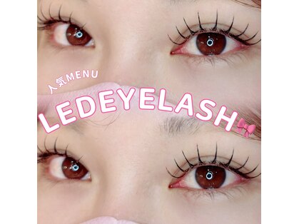 アンジュミニョン(Ange Mignon)の写真