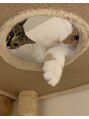 眉ラボ 池袋東口店 うちの愛娘達♪