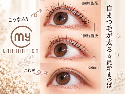 マイロ 大森(Myro)の写真