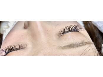 ルチア(Lucia)/Cカール 120本+カラー20本【1】