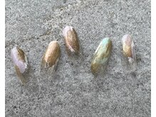 ツリーハウスネイル(tree house nail)/ハンド定額¥5900