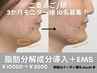 【モニター様10名募集！】二重あごと頬｜脂肪分解成分導入＋EMS