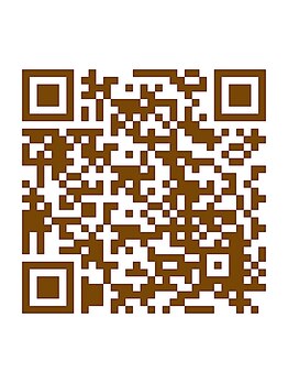 良家/サロンインスタで冷え取り!