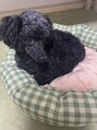リラクサロン パチャリ(Relax Salon Pachari)&nbsp;大切な家族との時間はとても癒されます