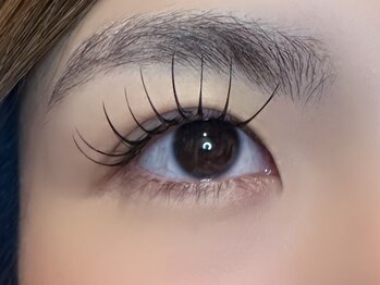 フリー#240(Free#240)/フラットラッシュ100本