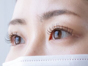 ラブレスルクス(LAVLESS LX)/フラットラッシュ120本