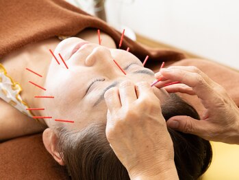 はな鍼灸院/総合的施術