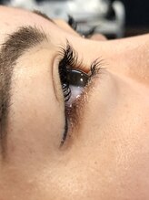 ピクシーボブ(Pixie Bob)/ドーリーリフトカール☆