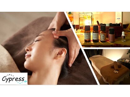 サイプレス(Cypress)の写真