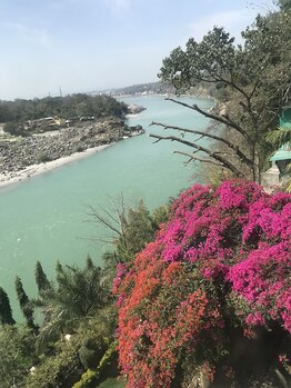 ウマヒーリング(UMA HEALING)/エメラルドグリーンのガンジス川