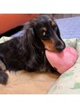 カノア(Kanoa) 愛犬のれお。3歳boyです！