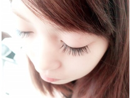 シュシュ(syusyu)の写真