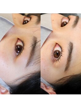 コピュラ(copula)/上下次世代まつげパーマ