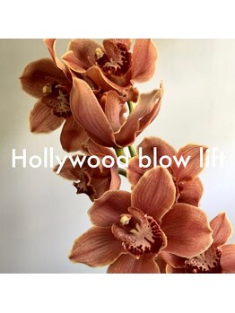ハービンドール/Hollywood blow lift