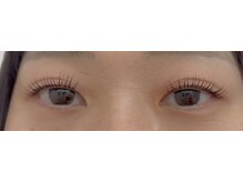 ペルシャ(Persian)/お客様デザイン（担当:宮井）