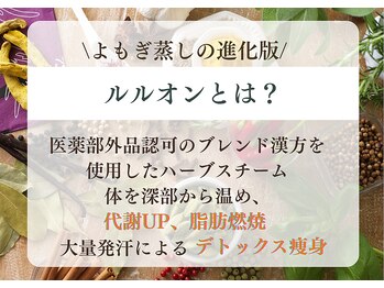 ヨサパーク リボーン(YOSA PARK Reborn)/進化版よもぎ蒸しルルオンとは？