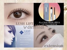 アイラッシュ バニラ 東大宮(VANILLA)