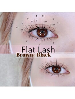 レ プリューム(les plumes)/フラット上下振り分け160本