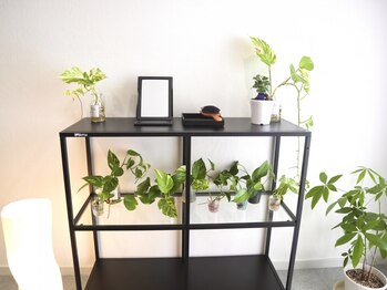 オン(On.)/緑あふれる癒される店内