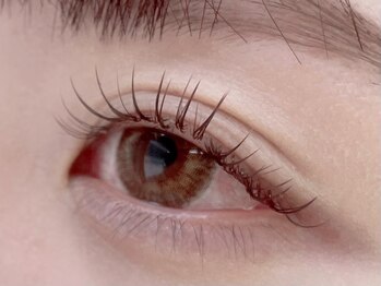 エルン(Elun)/カラーフラット/ブラウンカラー