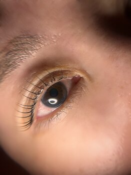 ウミウミアイラッシュ(UMIUMI EYELASH)/立ち上げない大きめカール