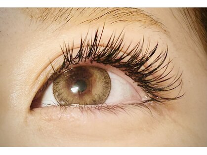 エメ(Aimer)の写真