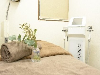 コアボディ(Core Body)の写真