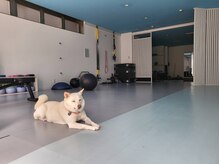 マイボディルームイチマルイチ(MY BODY ROOM 101)/