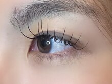 フリー#240(Free#240)/フラットラッシュ100本