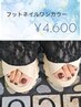 【オープン記念】オフ無料☆シンプル可愛い♪ワンカラー(フットネイル)4600円