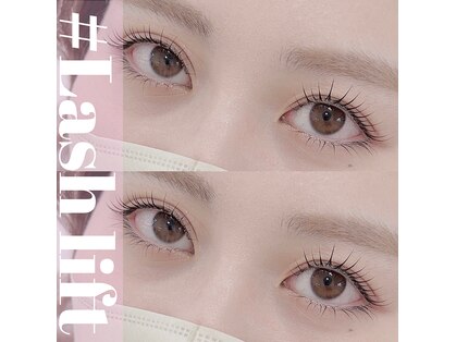 ミル(mir)の写真