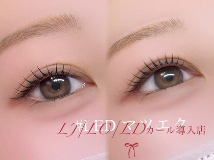 ライリス(Lylis)の写真