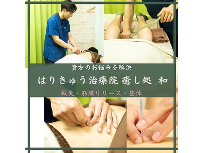 ナゴミ(和 nagomi)の写真
