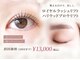 リノ(Lino)の写真