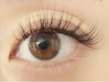 シャイニング ジェイ(Shining J)/セーブル エクステ 0.12mm